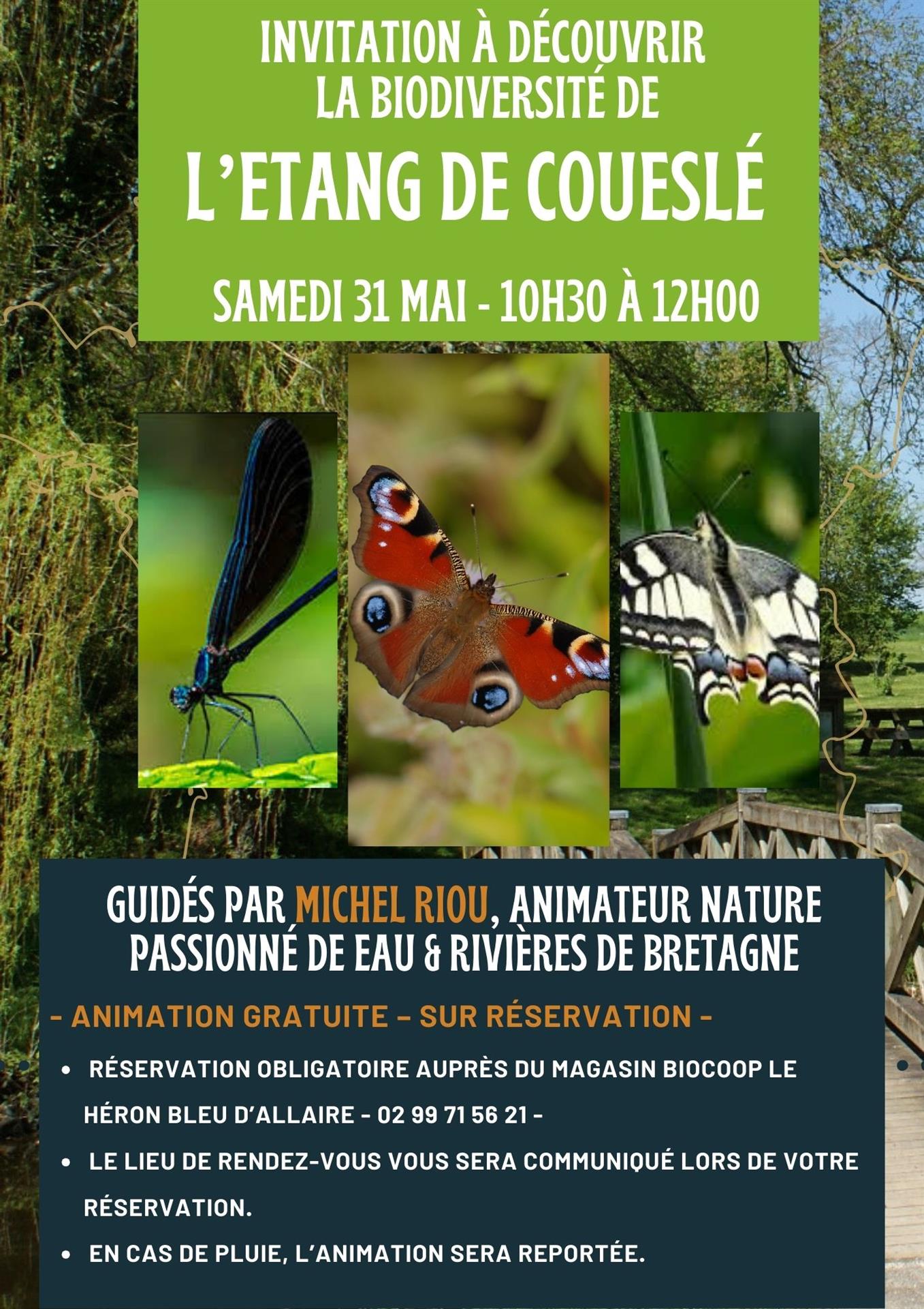 Animation nature avec Eau et Rivières de Bretagne sur la commune d'Allaire