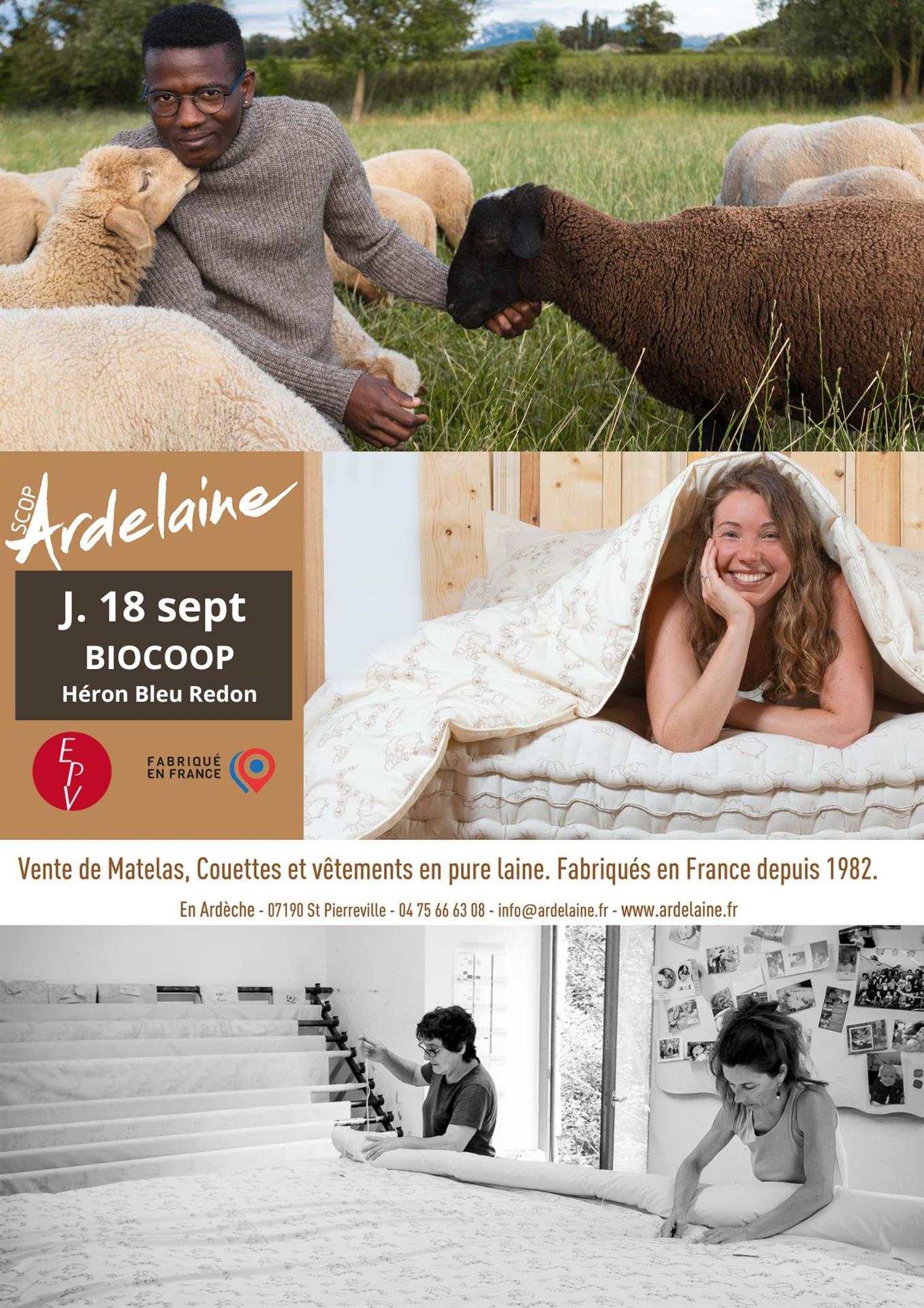 EXPO VENTE SCOP ARDELAINE