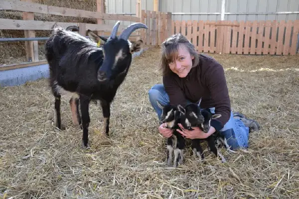 La ferme de Cécile