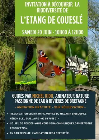 Animation nature avec Eau et Rivières de Bretagne Animation nature avec Eau et Rivières de Bretagne
