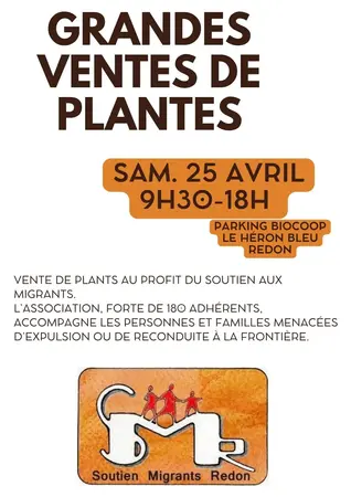 Grande vente de plants au profit de soutien migrants